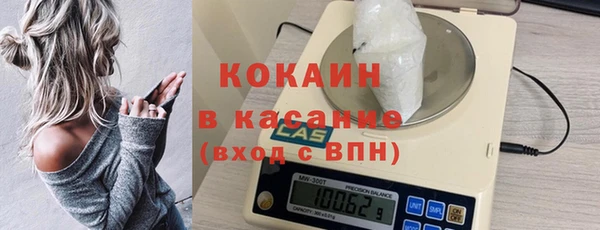 индика Алексеевка