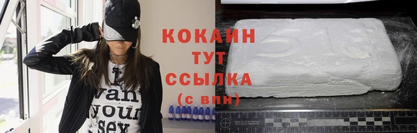 шишки Алексин