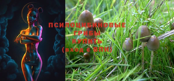 ешки Алзамай
