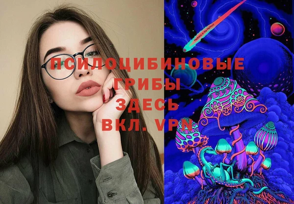 ешки Алзамай