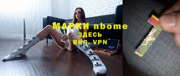 шишки Алексин