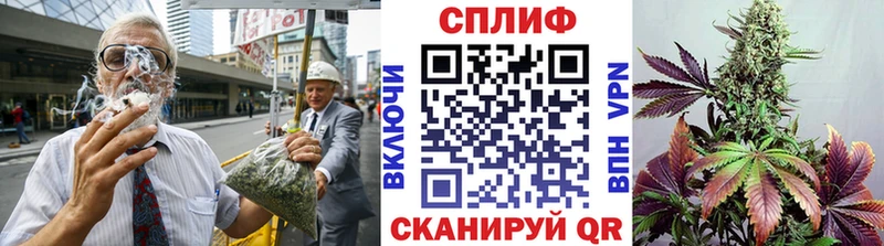 Бошки Шишки THC 21%  omg онион  Фрязино  продажа наркотиков 